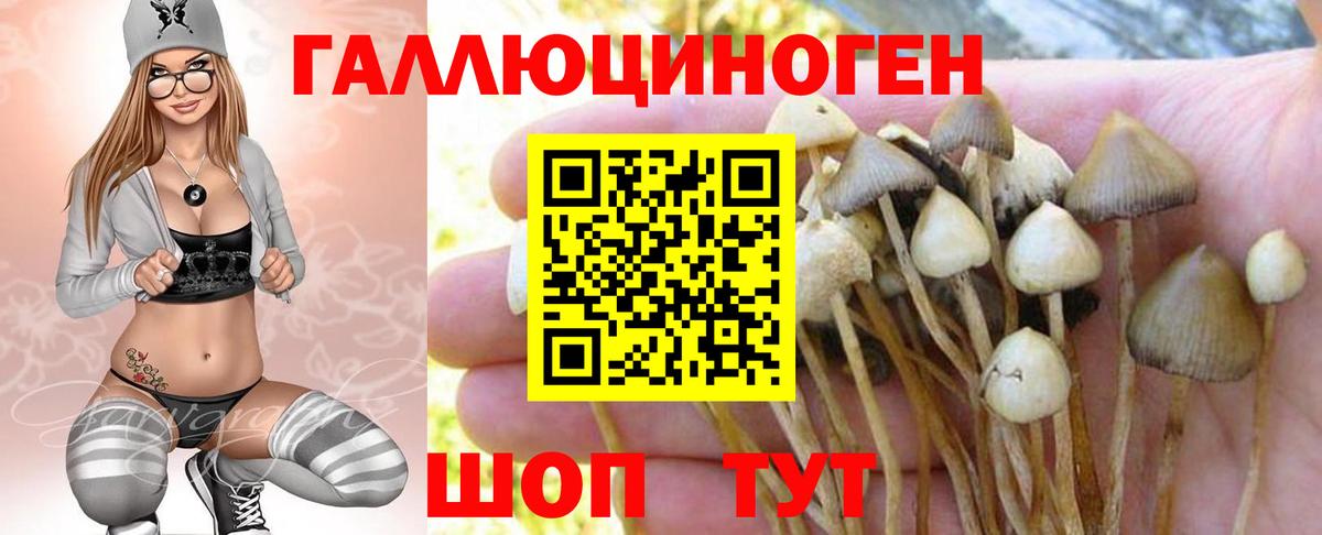 Когалым  Псилоцибиновые грибы мицелий  купить закладку  Вход с VPN 